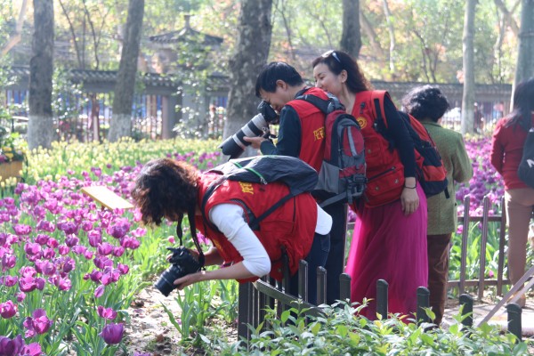 䓼F(tun)(hu)zӰf(xi)(hu)MzӰL(fng)(dng)